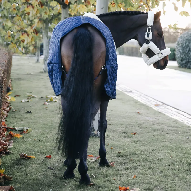 Kentucky 400g Standard Neck Stable Rug - Navy-1