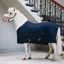 Kentucky 160g Tiny Show Rug - Navy