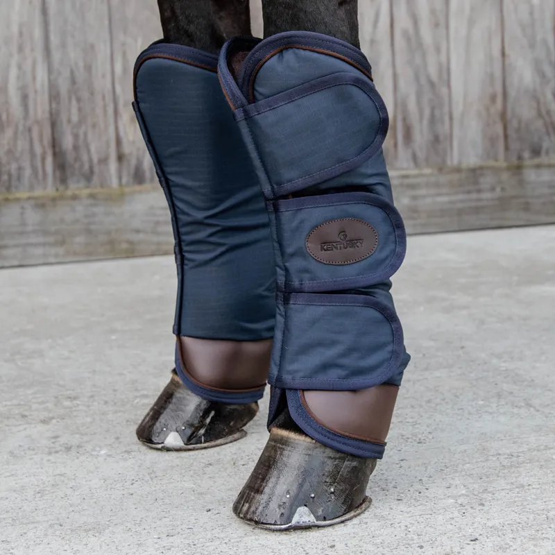 Kentucky Faux Fur Lined Travel Boots - Navy