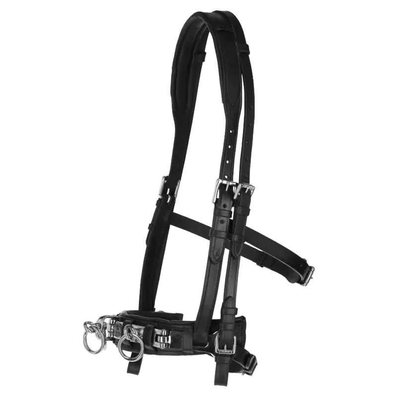 Kerbl Exklusiv Leather Lunge Cavesson - Black