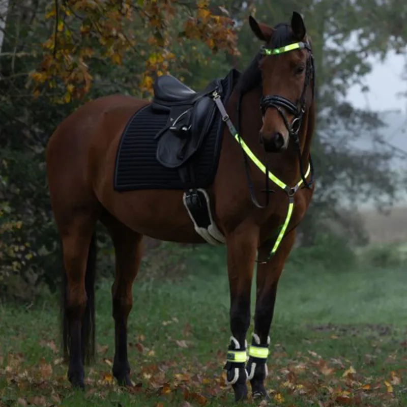 Kerbl Illuminated LED Hi-Viz Leg Bands - Yellow-5