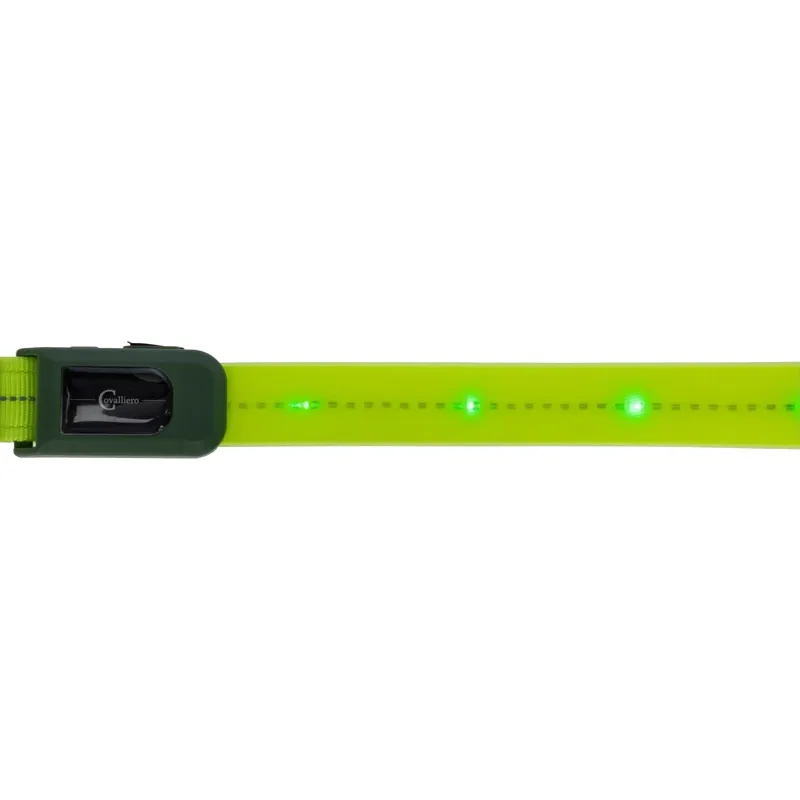 Kerbl LED Hi-Viz Browband Head Strap - Yellow-2