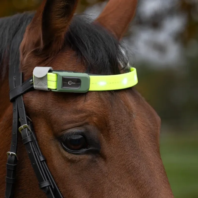 Kerbl LED Hi-Viz Browband Head Strap - Yellow-3