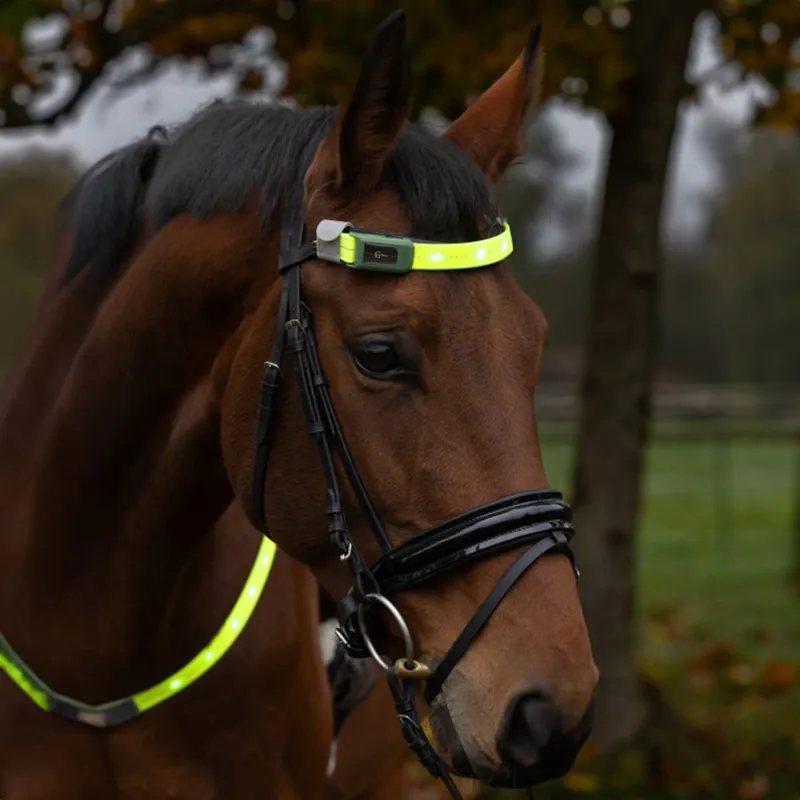 Kerbl LED Hi-Viz Browband Head Strap - Yellow