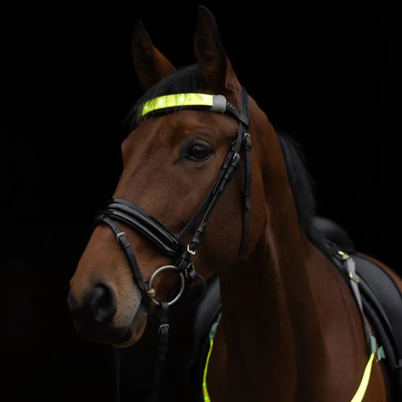 Kerbl LED Hi-Viz Browband Head Strap - Yellow-7