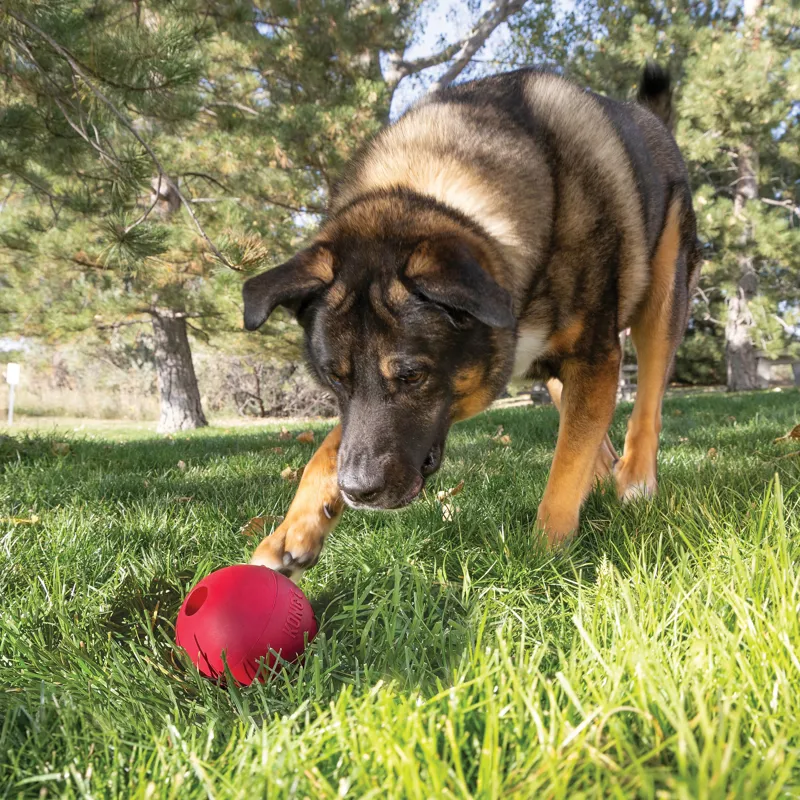 KONG Ball with Hole - Red-8