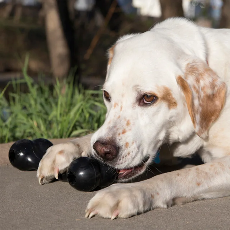 KONG Extreme Goodie Bone-4