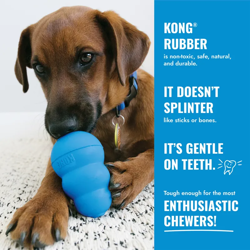 KONG Puppy Flyer-6