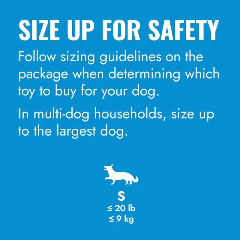 KONG Puppy Flyer-3
