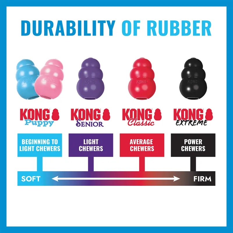 KONG Puppy Goodie Bone-2