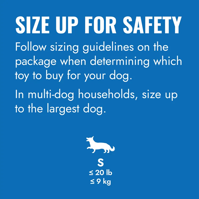 KONG Puppy Goodie Bone-1