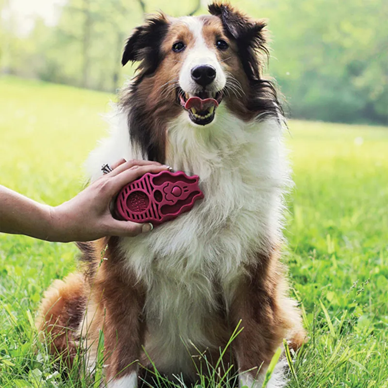 KONG ZoomGroom - Raspberry-1