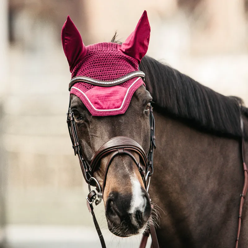 Kentucky Wellington Velvet Fly Veil - Fuchsia-1