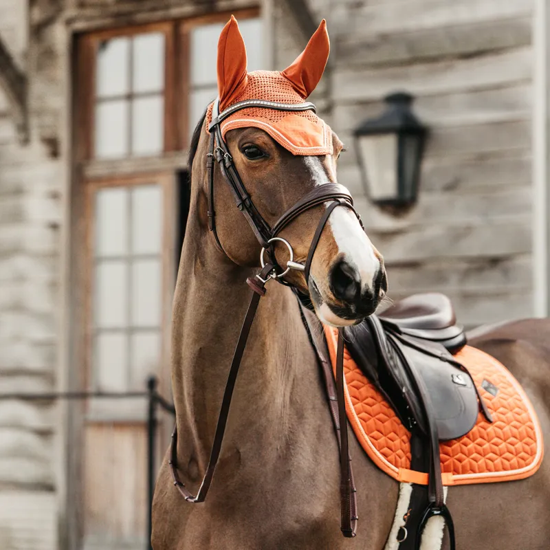 Kentucky Wellington Velvet Fly Veil - Orange-3