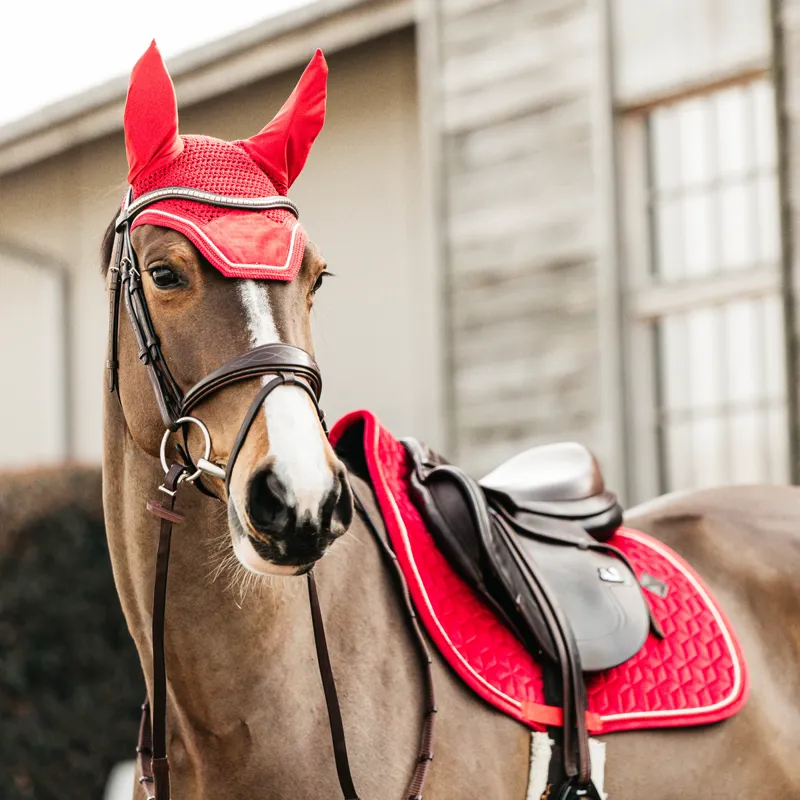 Kentucky Wellington Velvet Fly Veil - Red-4