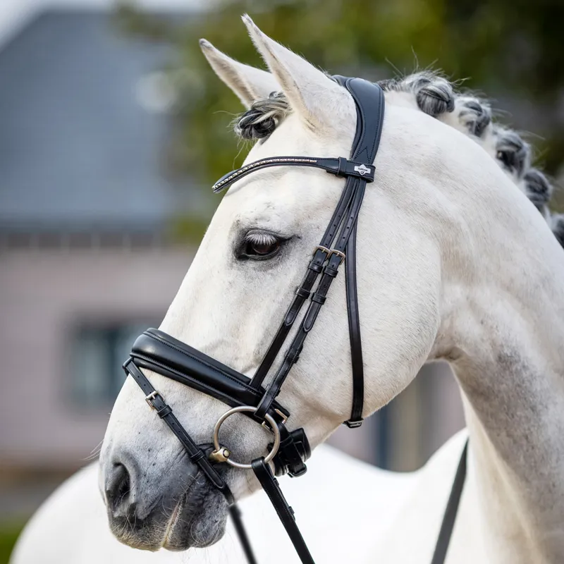 LeMieux Kudos Classic Dressage Flash Bridle - Black-1
