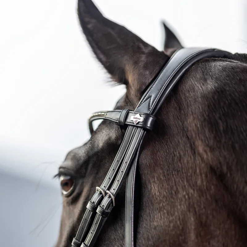 LeMieux Kudos Classic Dressage Flash Bridle - Black-2