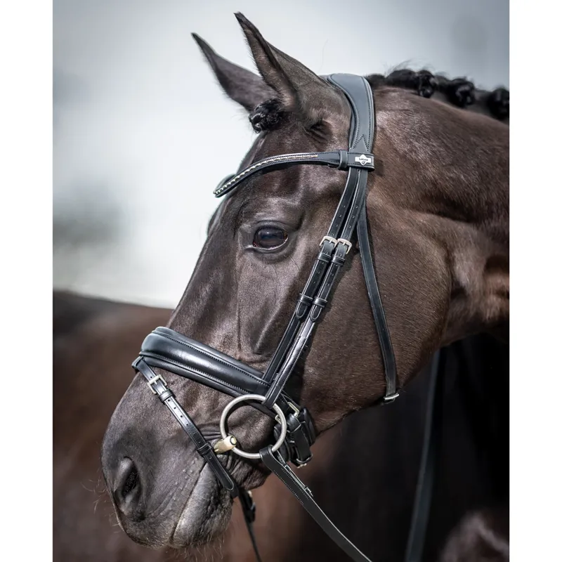LeMieux Kudos Classic Dressage Flash Bridle - Black-3