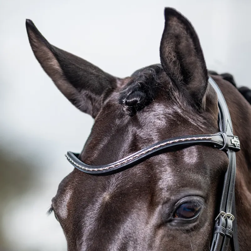 LeMieux Kudos Classic Dressage Flash Bridle - Black-4