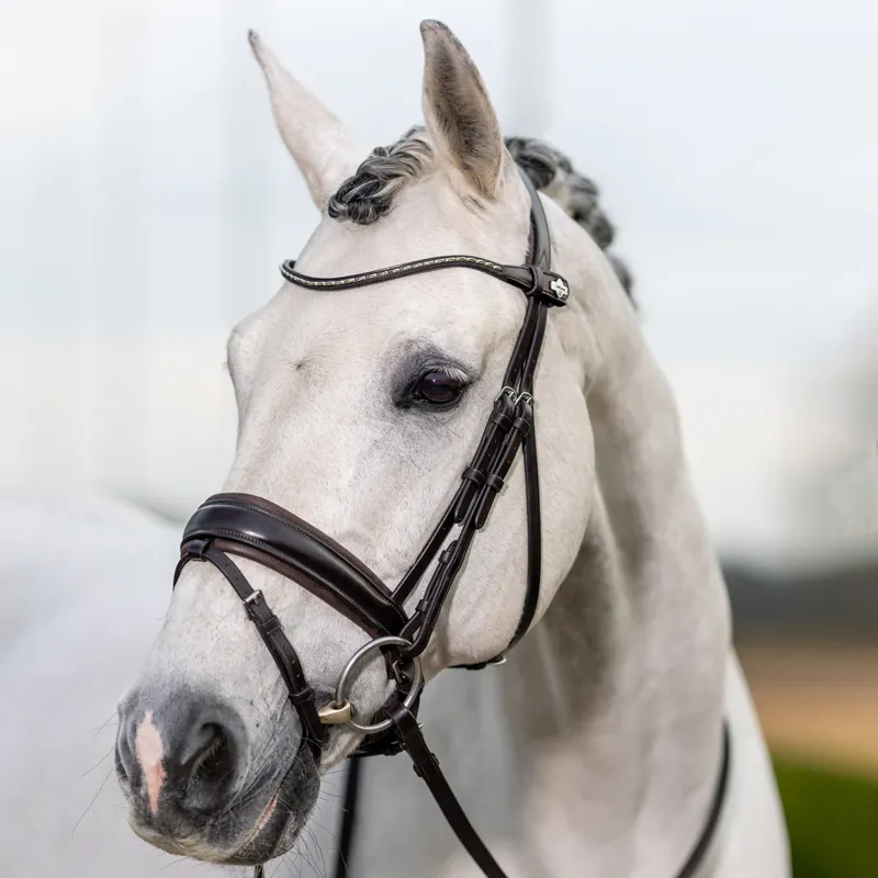 LeMieux Kudos Classic Dressage Flash Bridle - Havana-1