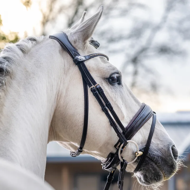 LeMieux Kudos Classic Dressage Flash Bridle - Havana-2