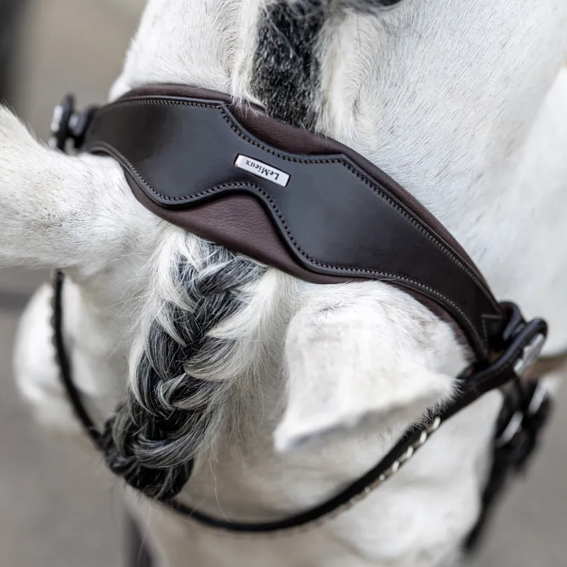 LeMieux Kudos Classic Dressage Flash Bridle - Havana-5