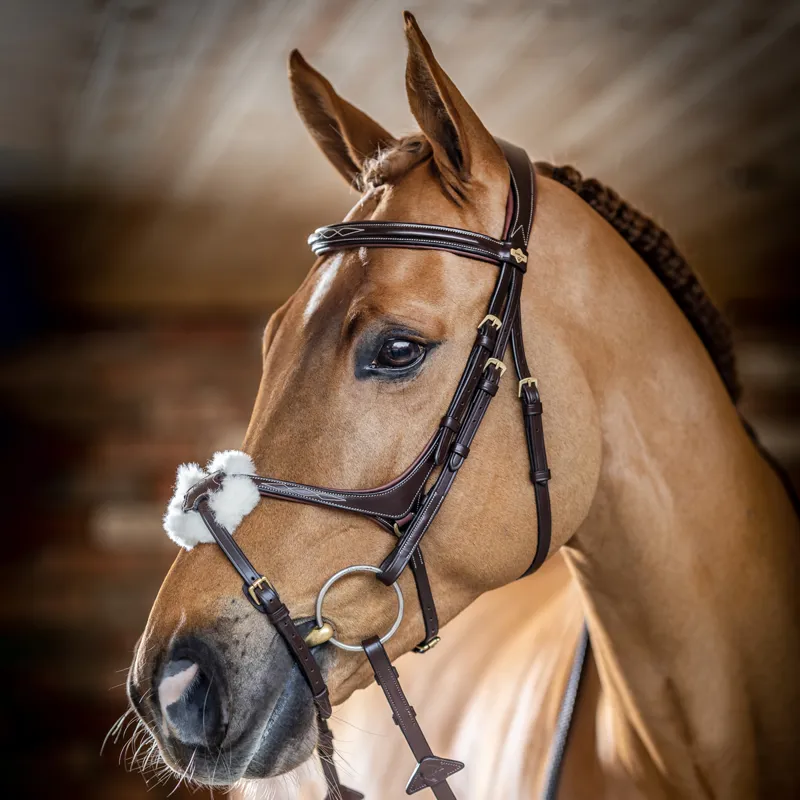 LeMieux Kudos Grackle Bridle - Havana