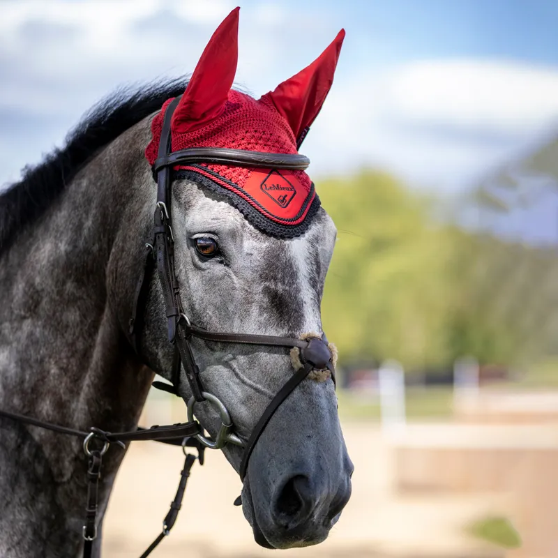 LeMieux Classic Fly Hood - Chilli/Black-1