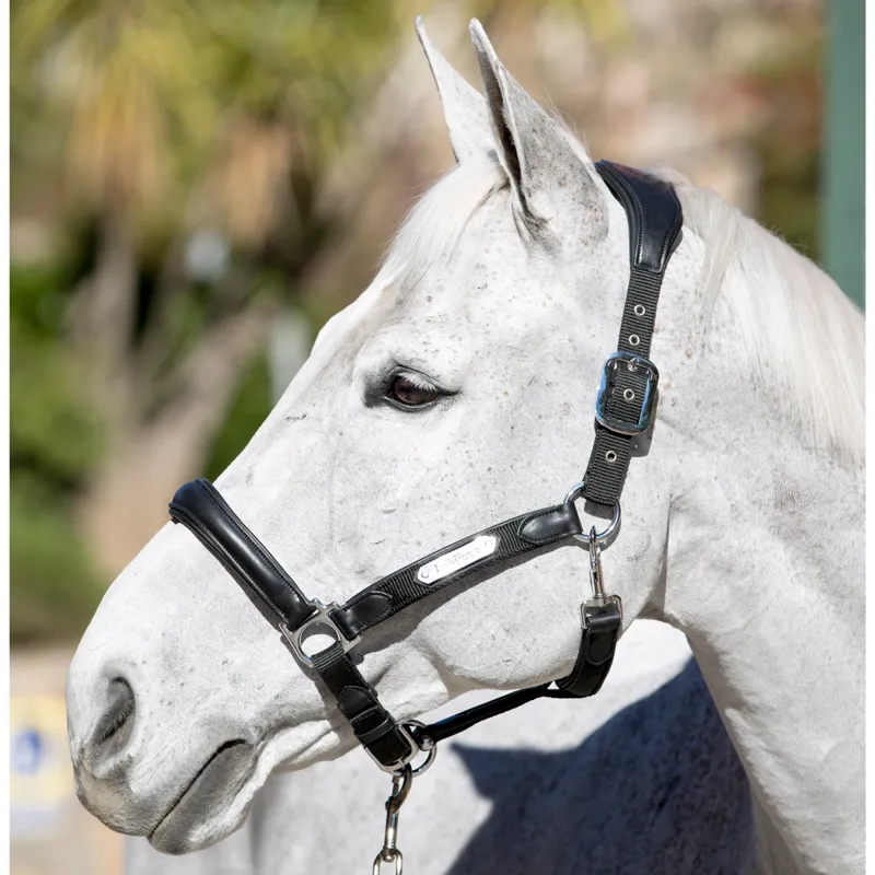 LeMieux Capella Leather Headcollar - Black/Black-2