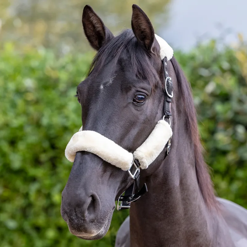 LeMieux Comfort Fleece Headcollar - Black/Natural-1
