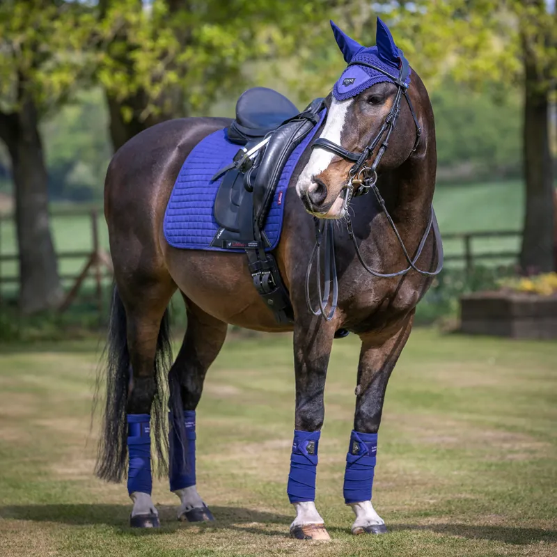 LeMieux Loire Fly Hood - Ink Blue-7