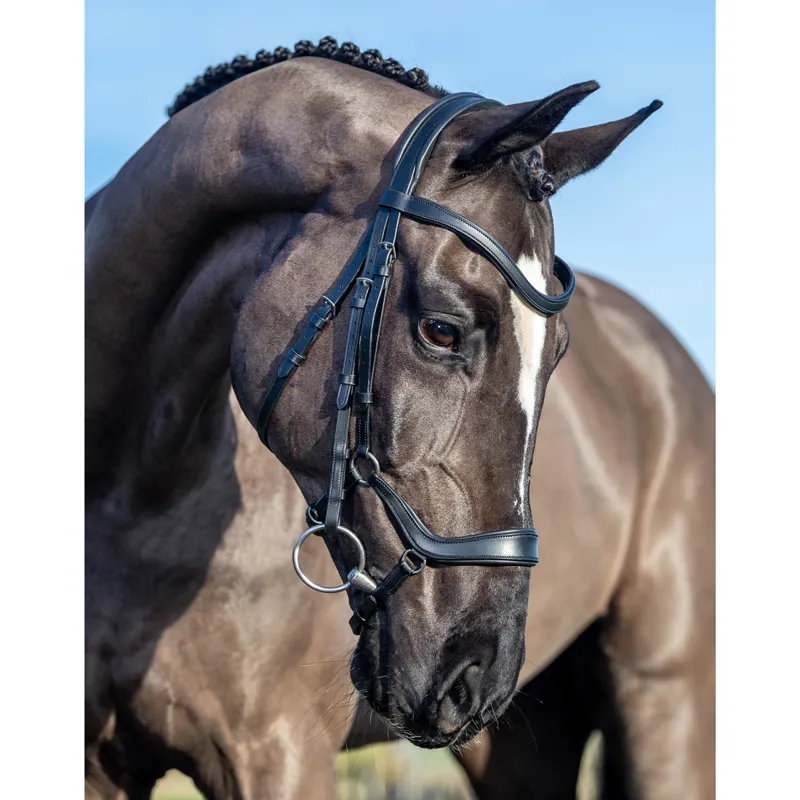 LeMieux Arika Drop Bridle - Black/Silver-3