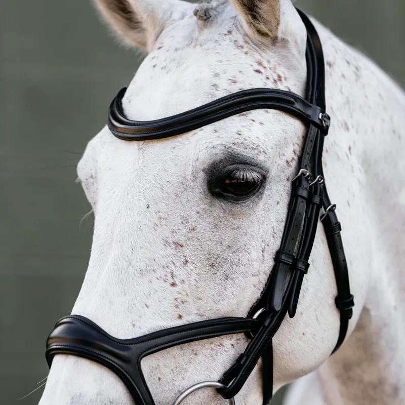 LeMieux Kudos Sport Bridle - Black/Silver-3
