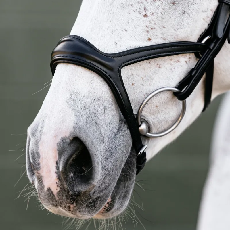 LeMieux Kudos Sport Bridle - Black/Silver-2