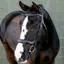 LeMieux Arika Anatomic Split Noseband Bridle - Black/Silver