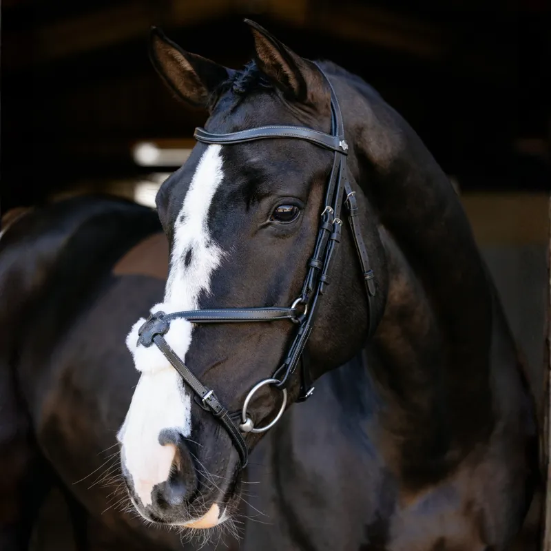 LeMieux Arika Anatomic Grackle Bridle - Black/Silver-4