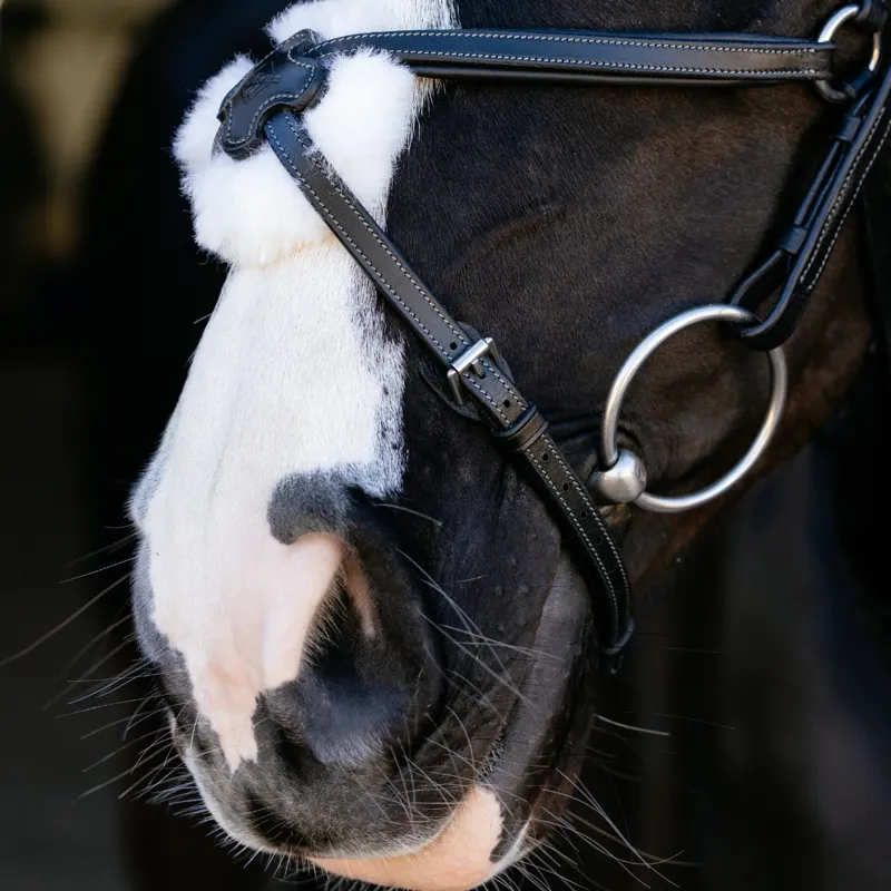 LeMieux Arika Anatomic Grackle Bridle - Black/Silver-3