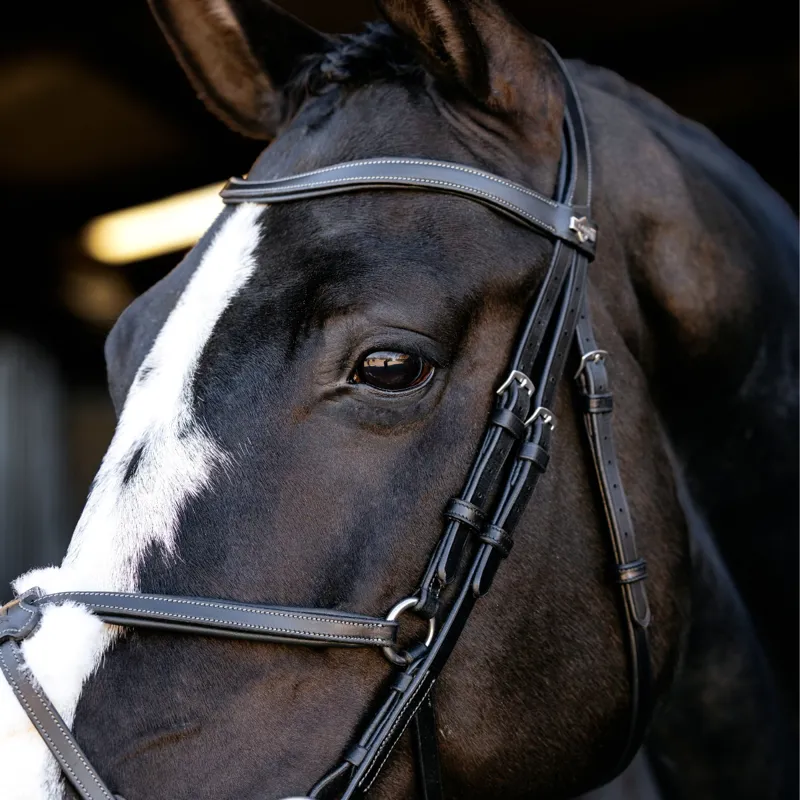 LeMieux Arika Anatomic Grackle Bridle - Black/Silver-2