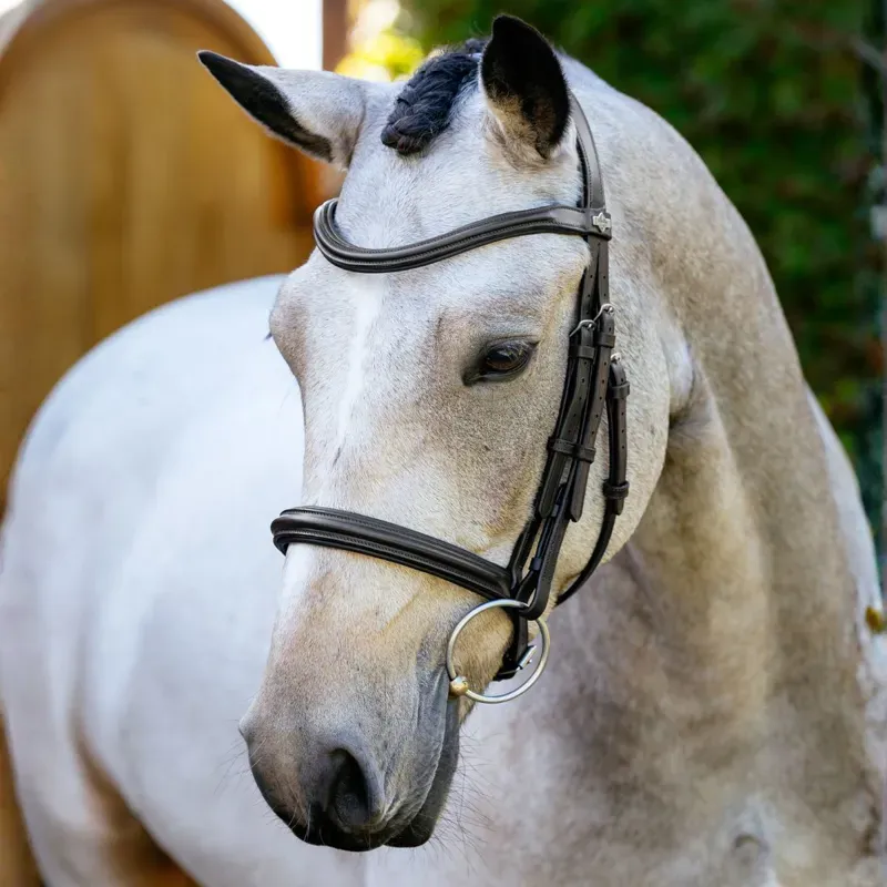 LeMieux Arika Anatomic Cavesson Bridle - Brown/Silver-1