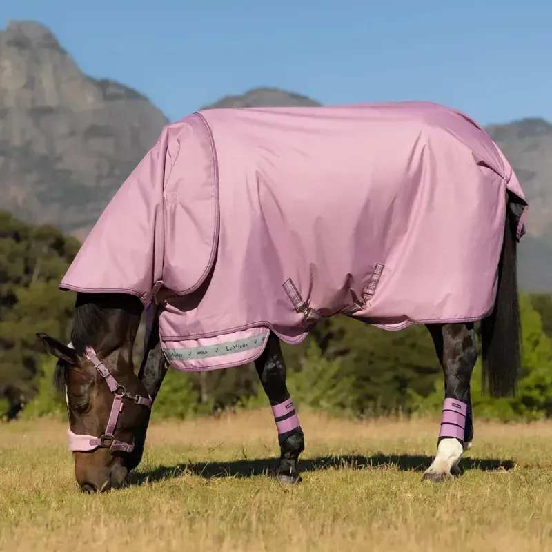 LeMieux Arika Ripstop 600D 0g Detachable Neck Turnout Rug - Fondant-9