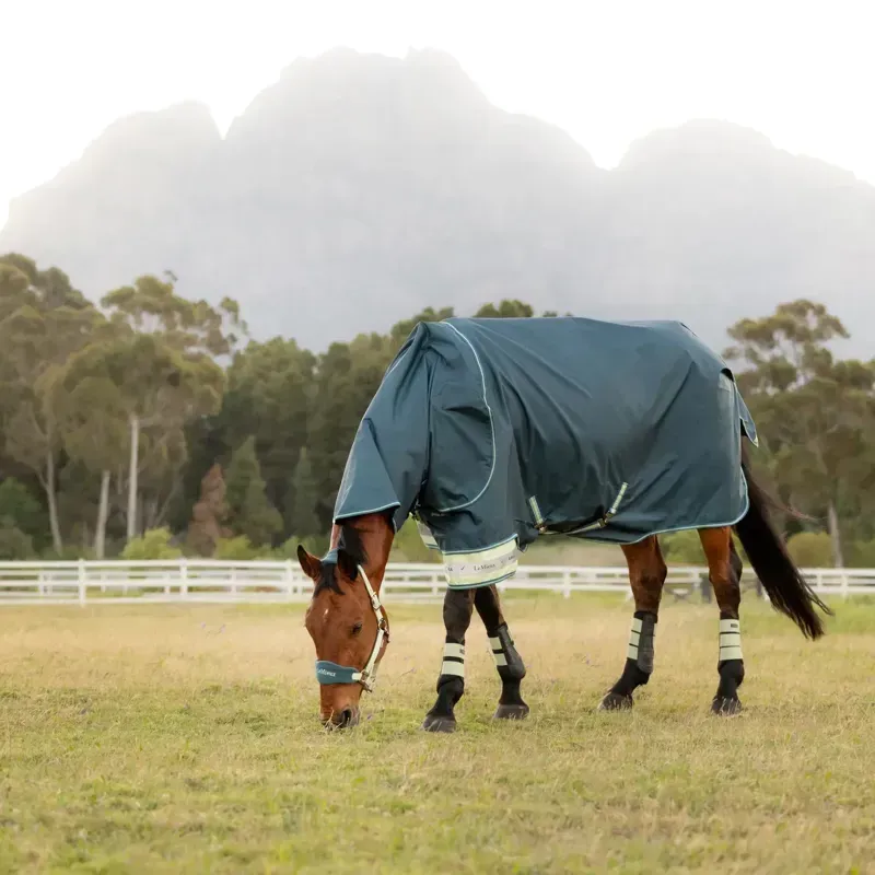LeMieux Arika Ripstop 600D 0g Detachable Neck Turnout Rug - Jungle-1