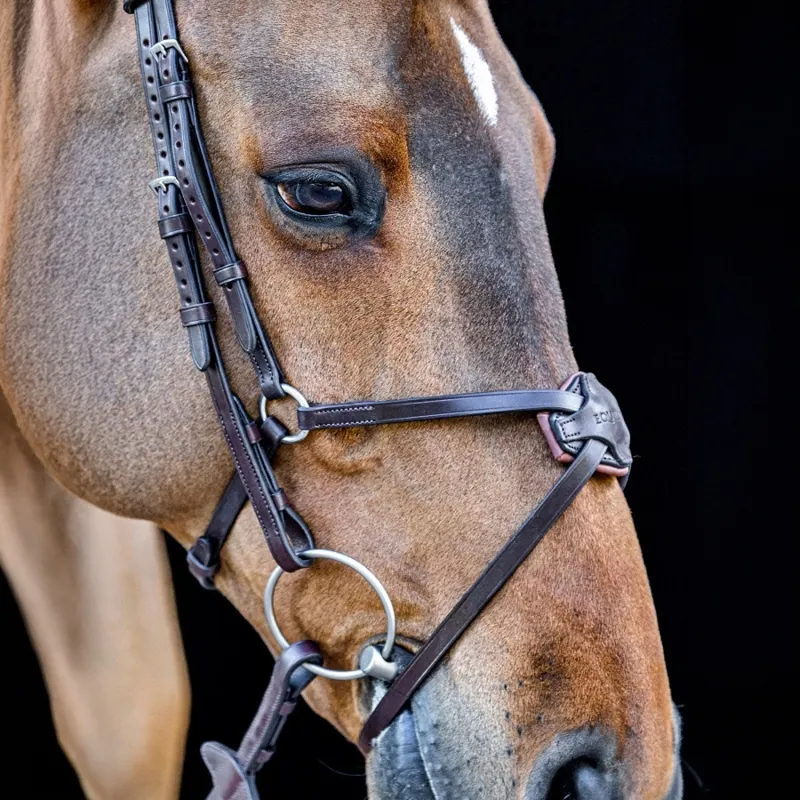 Equiline Classic Mexican Grackle Bridle - Brown-2