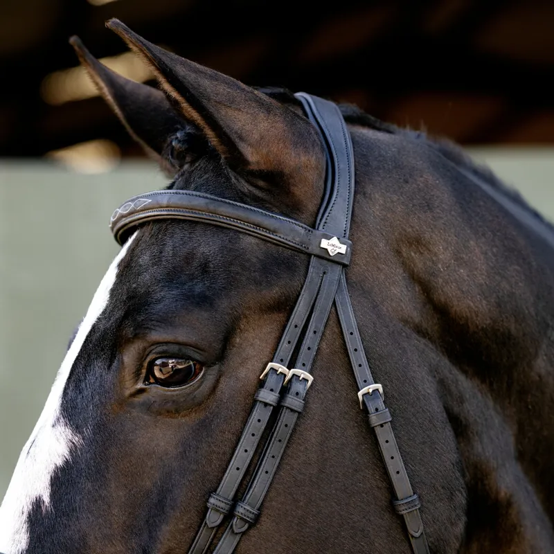 LeMieux Arika Classique Flash Bridle - Black/Silver-2