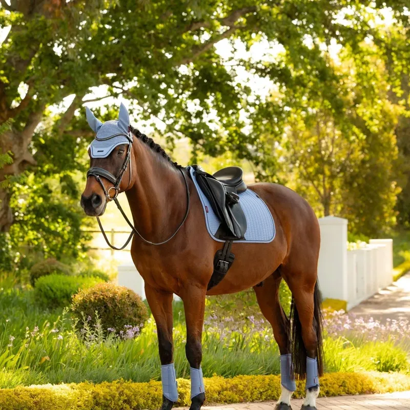 LeMieux Essence Dressage Square - Powder Blue-3