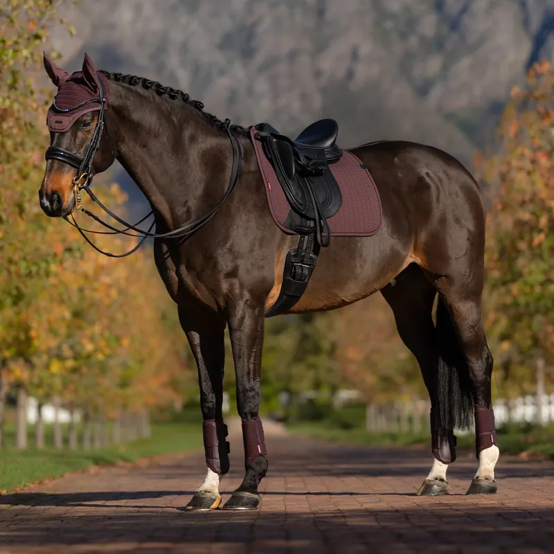 LeMieux Essence Dressage Square - Damson-4