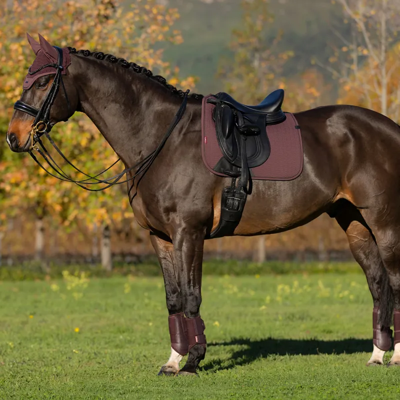 LeMieux Essence Dressage Square - Damson-3