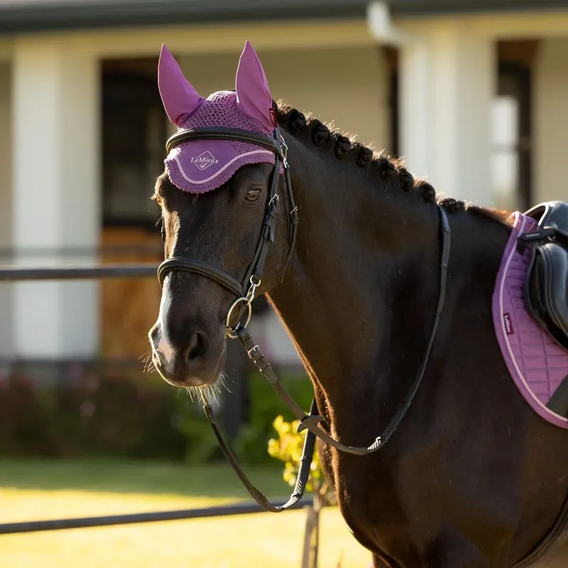 LeMieux Classic Fly Hood - Mallow-1
