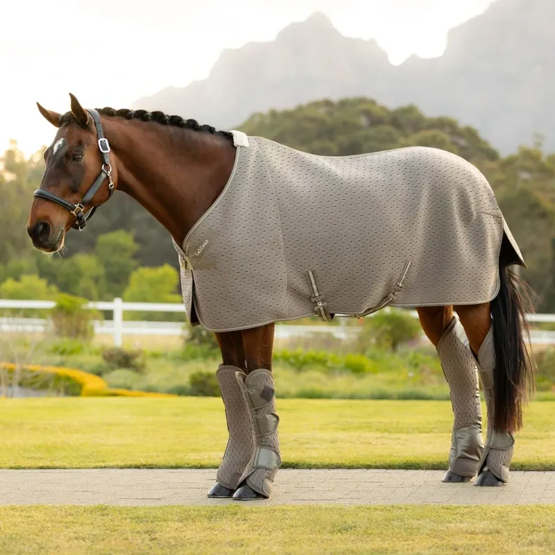 LeMieux Kudos 3D Mesh Travel Rug - Pecan