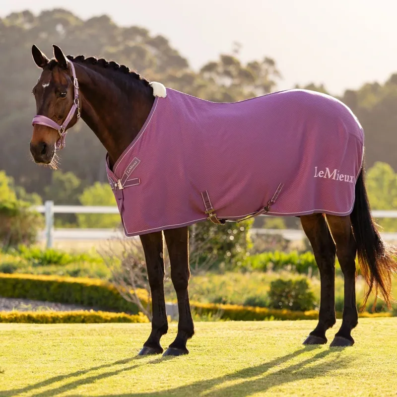 LeMieux Kudos Bamboo Cooler Rug - Mallow