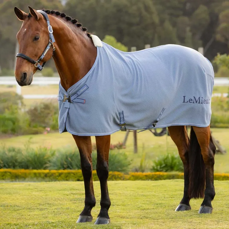 LeMieux Kudos Bamboo Cooler Rug - Powder Blue